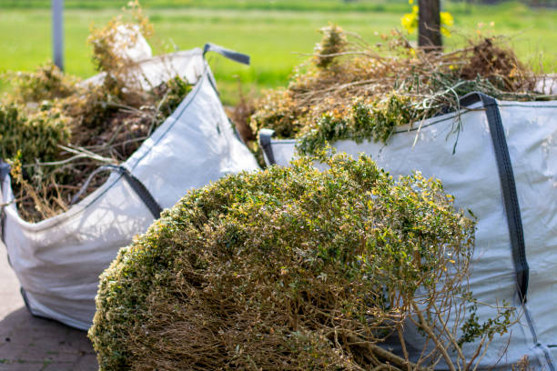 Best Basement Cleanout Services  in Ben Avon, PA